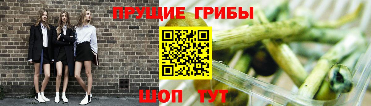 Псилоцибиновые грибы ЛСД Йошкар-Ола