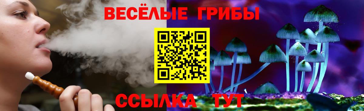 Йошкар-Ола  Галлюциногенные грибы GOLDEN TEACHER  Вход с VPN 